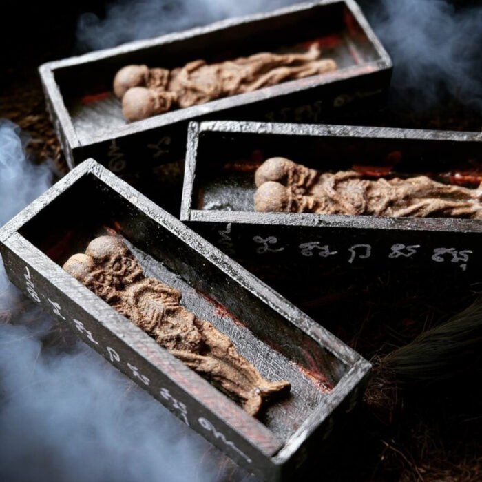 Two Headed Luk Krok Spirit in a Coffin - immagine 3