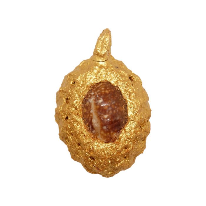 Amuleto Bia Kae LP Mian