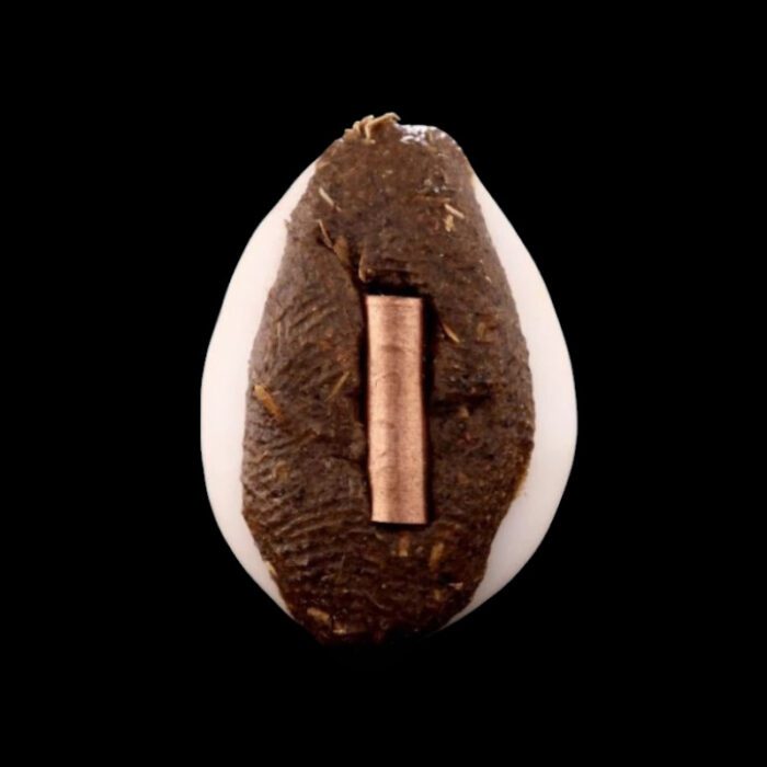 Bia Wasana Amulet by Kruba Baeng 2568 – Image 2