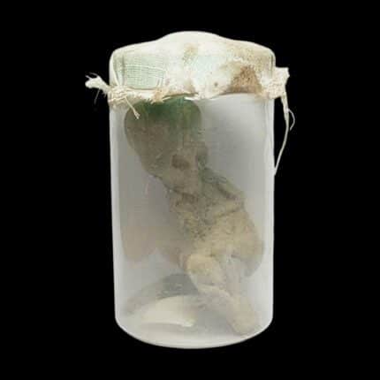 luk krok Ajarn Pu Yi