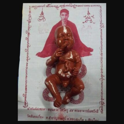 Kuman Sucking Placenta